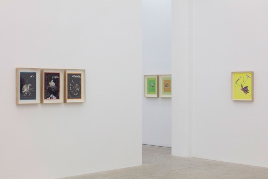 90岁当然比9岁更会玩儿，丁立人个展“双虫记”于站台中国开幕