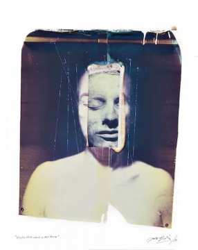 《这不是我的面孔》70 x 55 cm 由彩色宝丽来和宝丽来转印至丙烯&nbsp;2010 