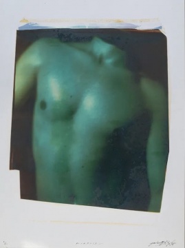 选自L系列&nbsp;60 x 50 cm&nbsp;宝丽来&nbsp;1997 