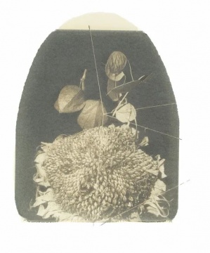 选自干花系列&nbsp;50 x 35 cm&nbsp;&nbsp;由黑白宝丽来转印至画纸 1997 