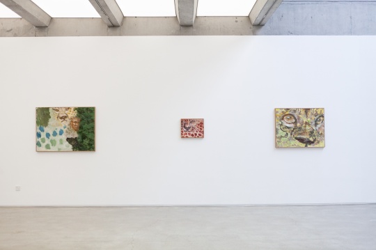 “倪军：海盗与猎豹”偏锋画廊展览现场 