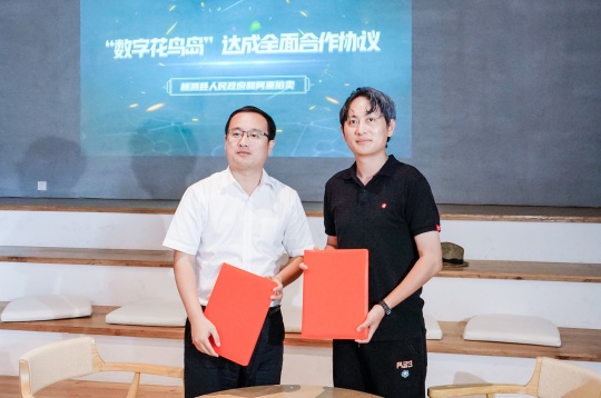 开启动漫文化艺术之旅 
