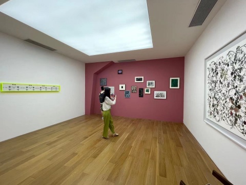 计洲“忍冬”展览现场 