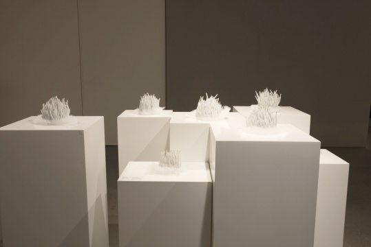 孙宇作品，林大艺术中心展览现场 