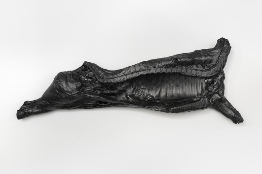 英格夫·霍伦，《FOD》，2021，摄影：Stefan Korte 碳纤维，泡沫芯，螺钉，垫圈，螺母 1010x270x29cm 致谢艺术家，柏林Galerie Neu，伦敦Modern Art及法兰克福Neue Alte Brücke 