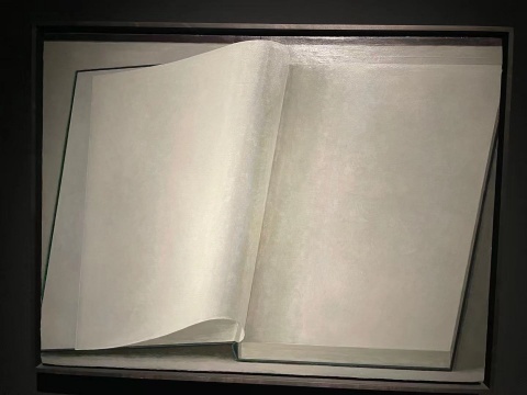 刘野 《书7号》&nbsp;45×60cm&nbsp;布面丙烯 2015 