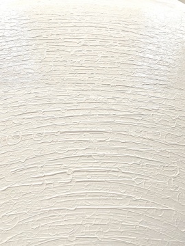 杨黎明 《灰白色系列》 100×81cm 布面油画 2020 