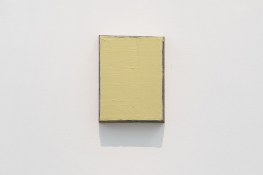 王光乐 《未命名2017》 27x20.5cm 木板、硅胶、丙烯 2017 