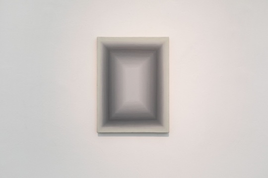 王光乐 《无题111228》 40x30cm 布上丙烯 2011 