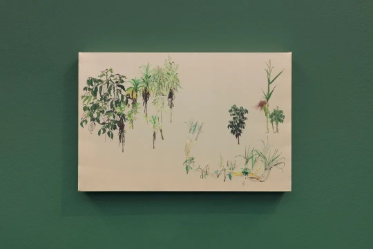 《自留地-看客》33×51cm&nbsp;丝绸上国画，油性颜料&nbsp;2020 