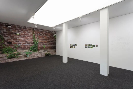 拾萬空间“自留地”展览现场 