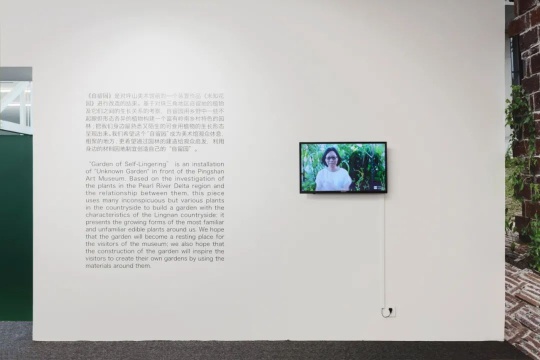 沈瑞筠：自留地 展览现场 