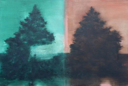 夏炎 《贵州杉》 90x120cm 亚麻油彩 2020 