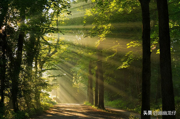 两百多年满是血泪的十字军东征落下帷幕,历史轮回,感悟缅怀