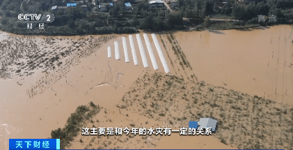 “吃草莓导致患出血热”？专家：没有科学依据！