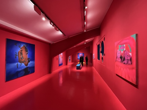 “奥斯汀·李：人间乐园”，木木美术馆展览现场 