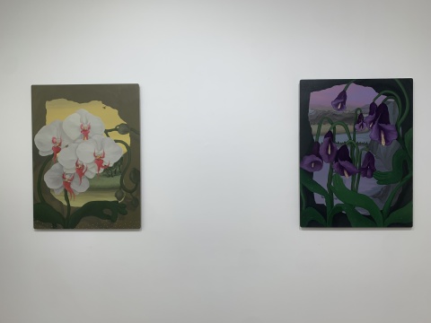 林山《蜜蜂与蝴蝶兰》80x60cm 铝板油画 2022 林山《马蹄莲精灵》80x60cm 铝板油画 2022 