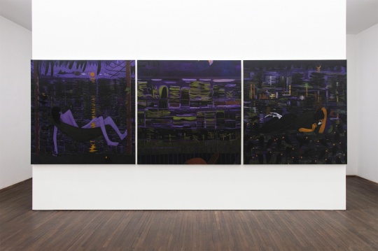 代洲个展“自然剧场”，站台中国-dRoom空间展览现场 