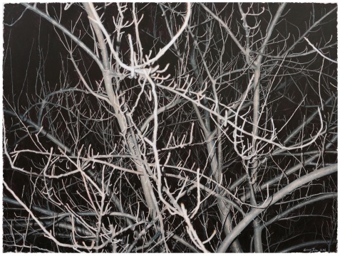 龚剑 《看这棵灰色的树 No. 12》170x230cm 布面丙烯 2016 