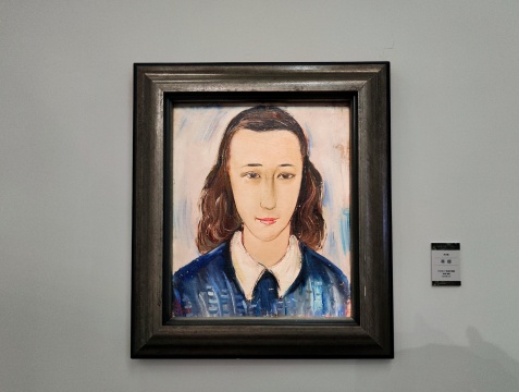 苏天赐百年诞辰纪念展展览现场 