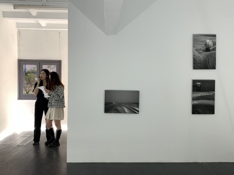 “I LOVE YOU (or whatever)”展览现场 