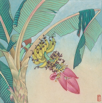 《香蕉》39×39cm&nbsp;纸本设色&nbsp;1980年代