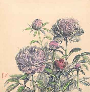 《牡丹》39.5×39cm&nbsp;钢笔赋彩&nbsp;1980年代 