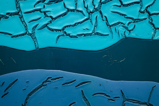 《无题》360×244×10cm&nbsp; 木板丙烯 2014 局部 