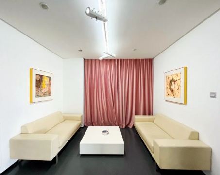 于朋、张梦宸双个展开幕，赏日月交辉的“双重风景”