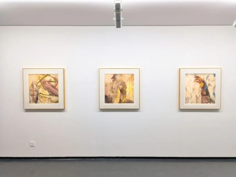 于朋、张梦宸双个展开幕，赏日月交辉的“双重风景”