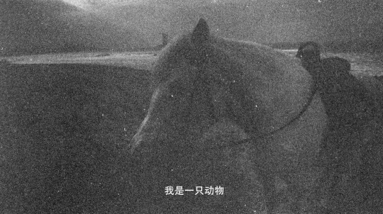 张瀚铎 《Monochrome_单向搜索》 单频影像 9分25秒 2022 