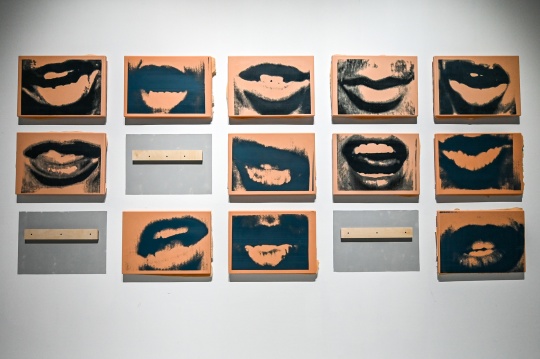 《对口型》（Lip Sync）激光雕刻的硅胶、丝网印刷油墨、不锈钢架 42×61×4cm 2020-2022 