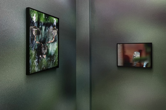 尹航个展，“滑行在滩涂之上” 新氧艺展览现场 