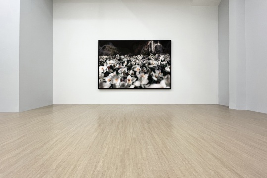 尹航个展，“滑行在滩涂之上” 新氧艺展览现场