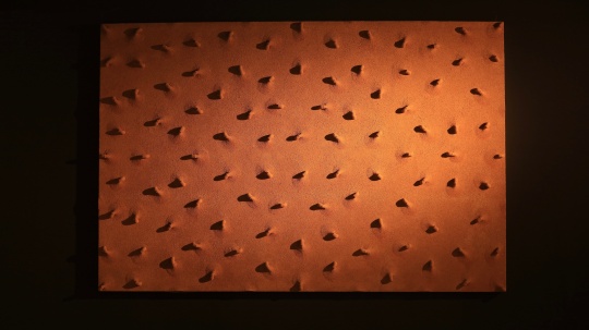 生命的型状——局, 布面油画，胶管, 300cmx200cmx10cm, 2017&nbsp; 