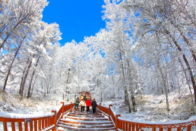 图片默认标题_fororder_初雪后的阿尔山国家森林公园银装素裹。&emsp;赖志强 摄