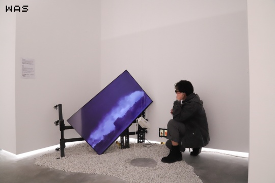 图五来源：展览现场，艺术小组MiM1MewMew作品，由WAS艺术中心提供 