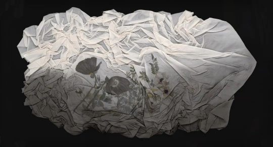 宋岫音 《折脂No.3虞美人》绢本设色 &nbsp;63×113cm &nbsp;2021 