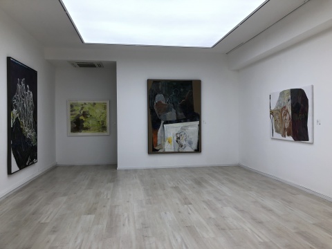 六禾空间在北京正式开幕，首展推出吴维佳近作《藏山青》