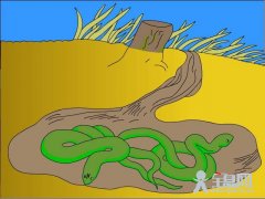 少儿科普--动物过冬